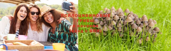 а пвп мука Надым