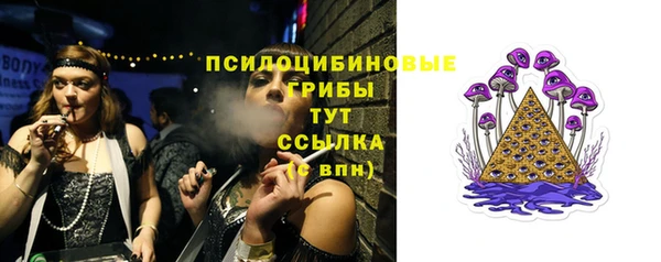 гидра Алексеевка