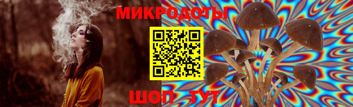 цена   Галлюциногенные грибы Psilocybine cubensis  Вход с VPN  Нижневартовск 